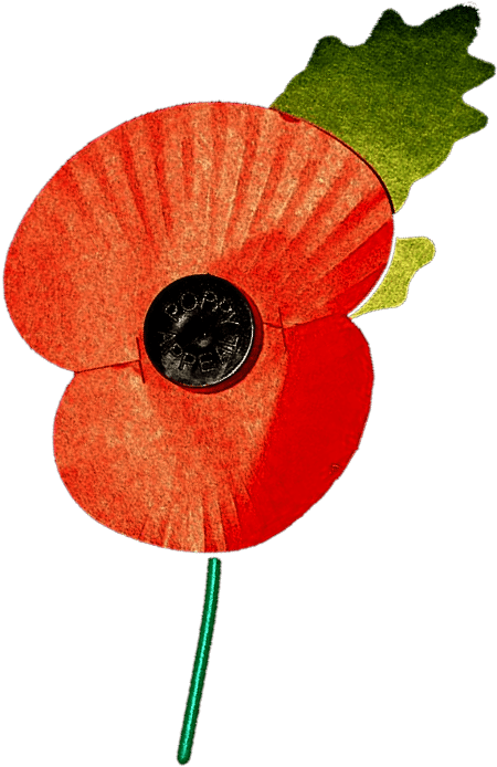 Poppy Sale